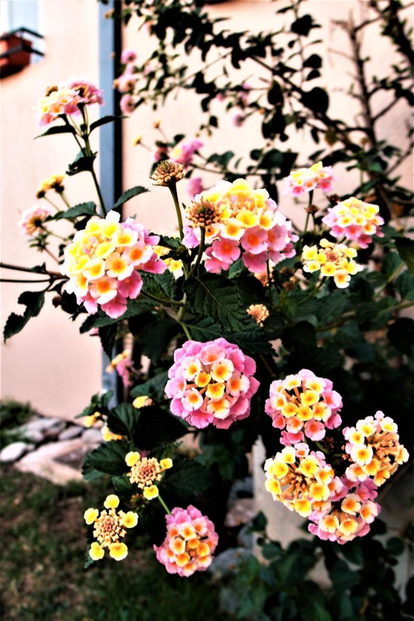 N'Aike Casa De Huespedes Hotel ลากาเลรา ภายนอก รูปภาพ